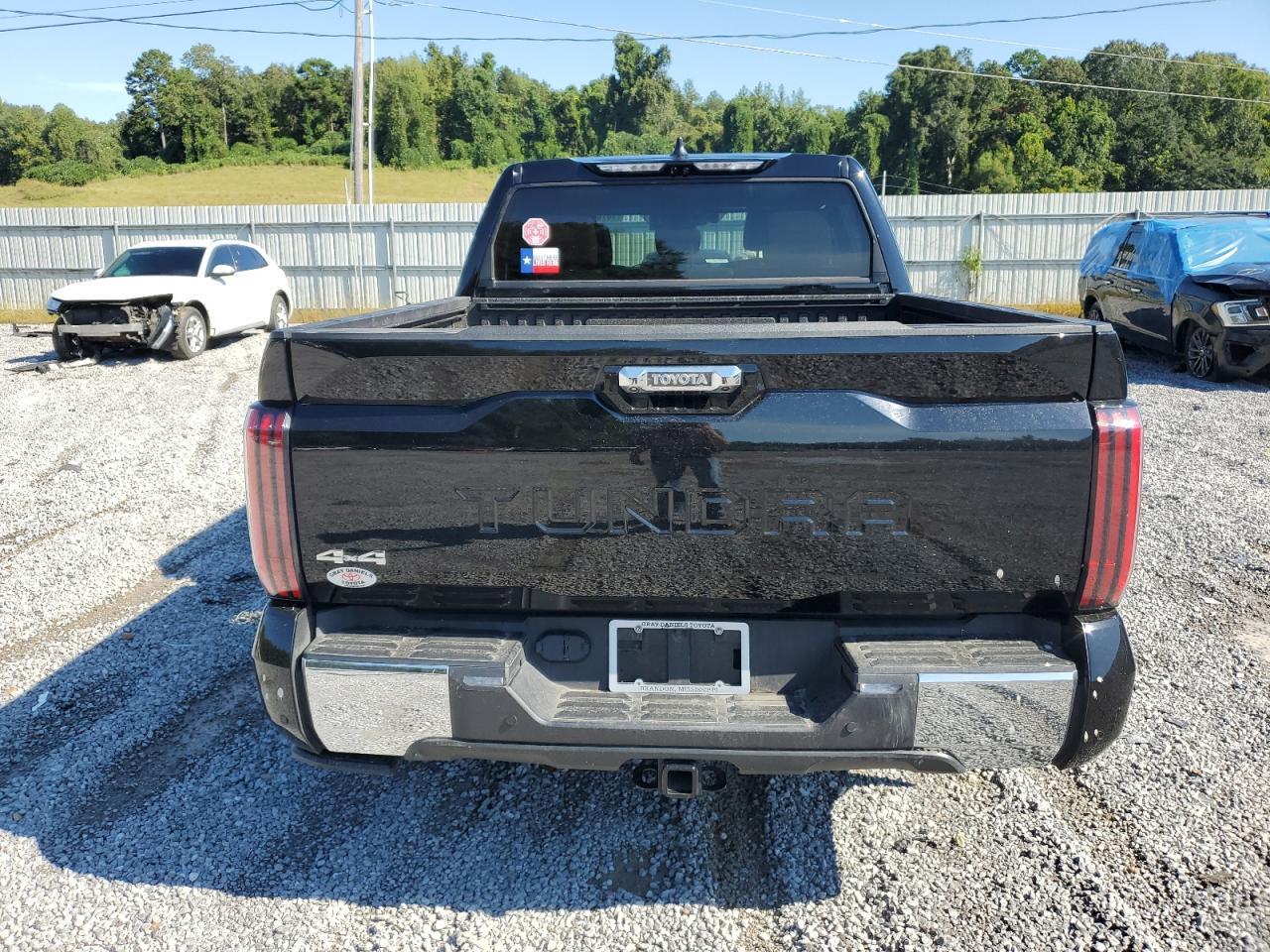 2024 Toyota Tundra Crewmax Platinum - Фото 6