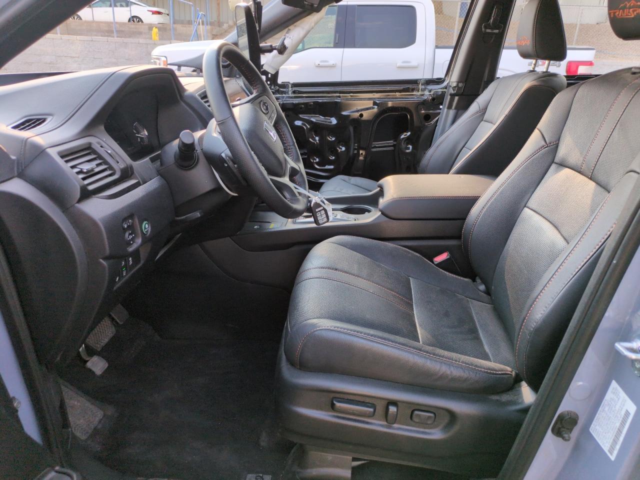 2024 Honda Passport Trail Sport - Фото 7