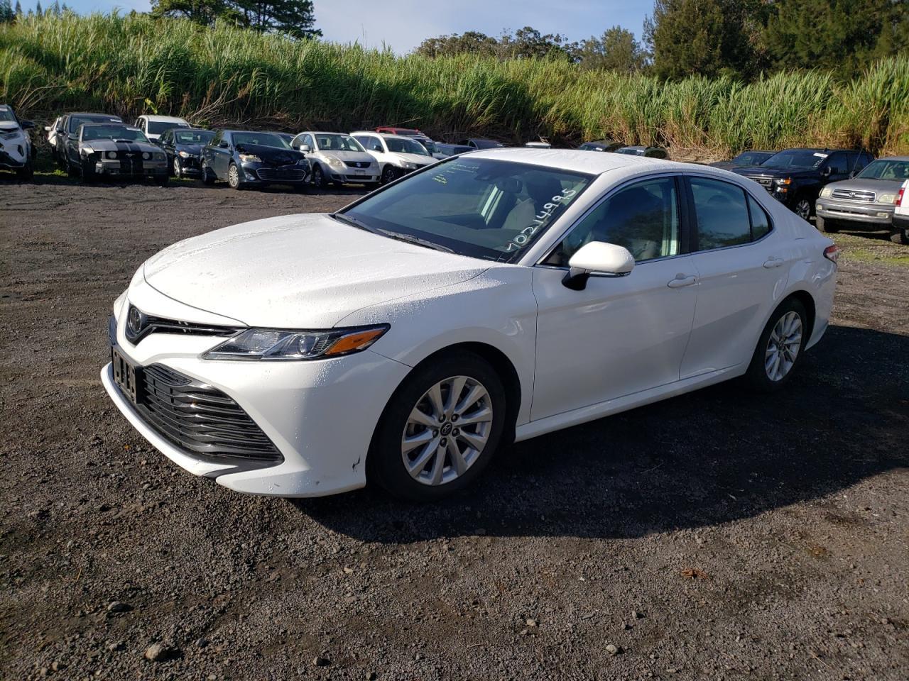 2019 Toyota Camry L