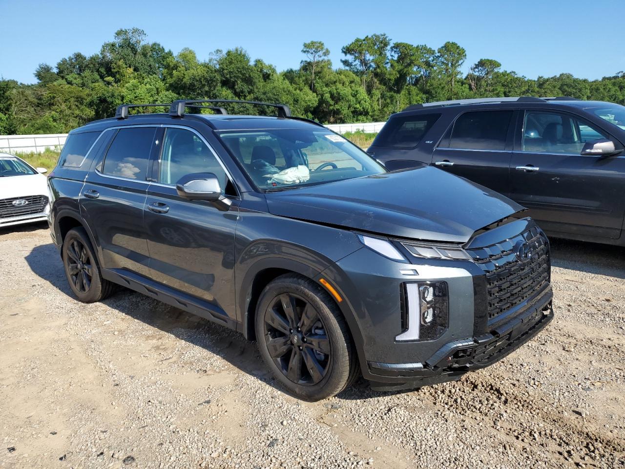 2025 Hyundai Palisade Xrt - Фото 4