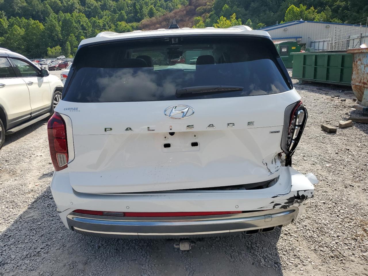 2024 Hyundai Palisade Calligraphy - Фото 6