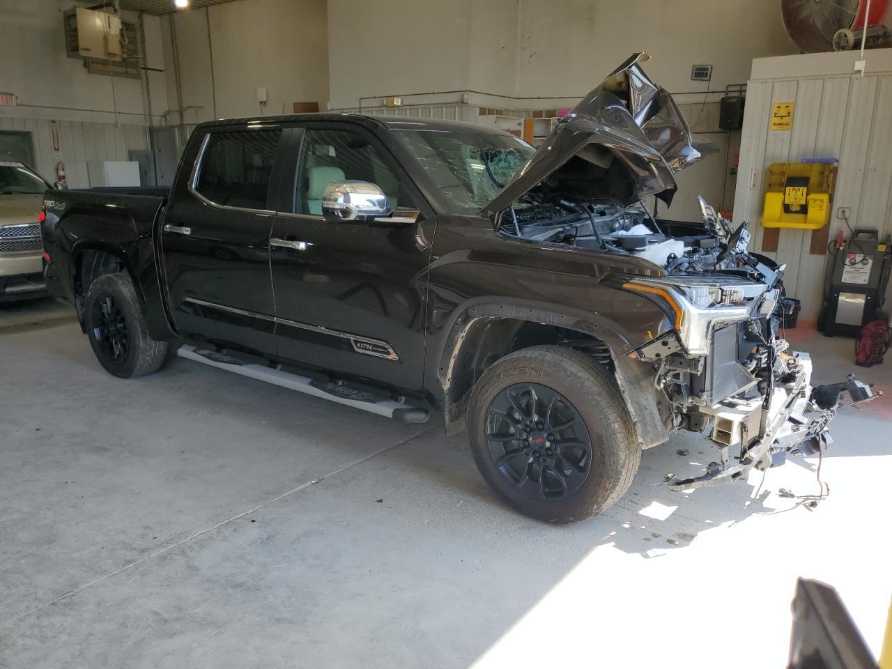 2024 Toyota Tundra Crewmax Platinum - Фото 4