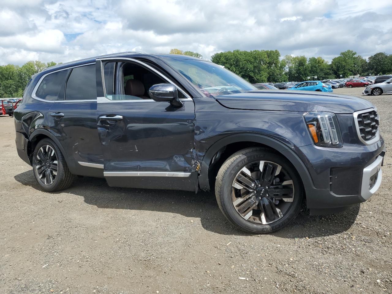 2025 Kia Telluride Sx - Image 4