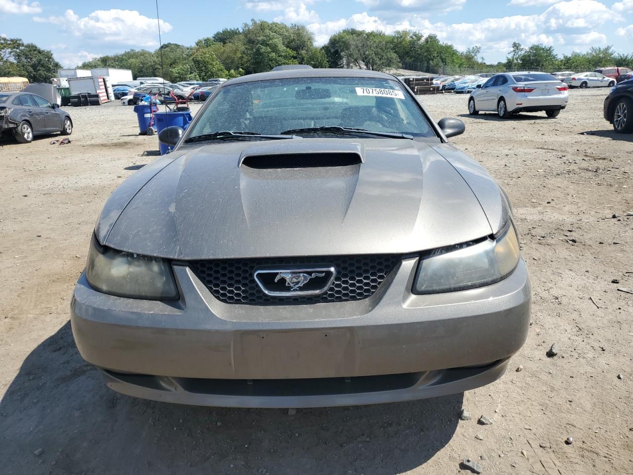 2002 Ford Mustang Gt - Image 5