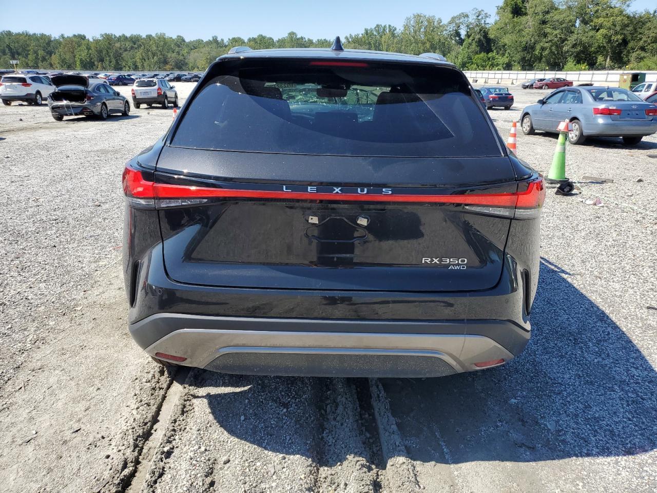 2024 Lexus Rx 350 Base - Фото 6