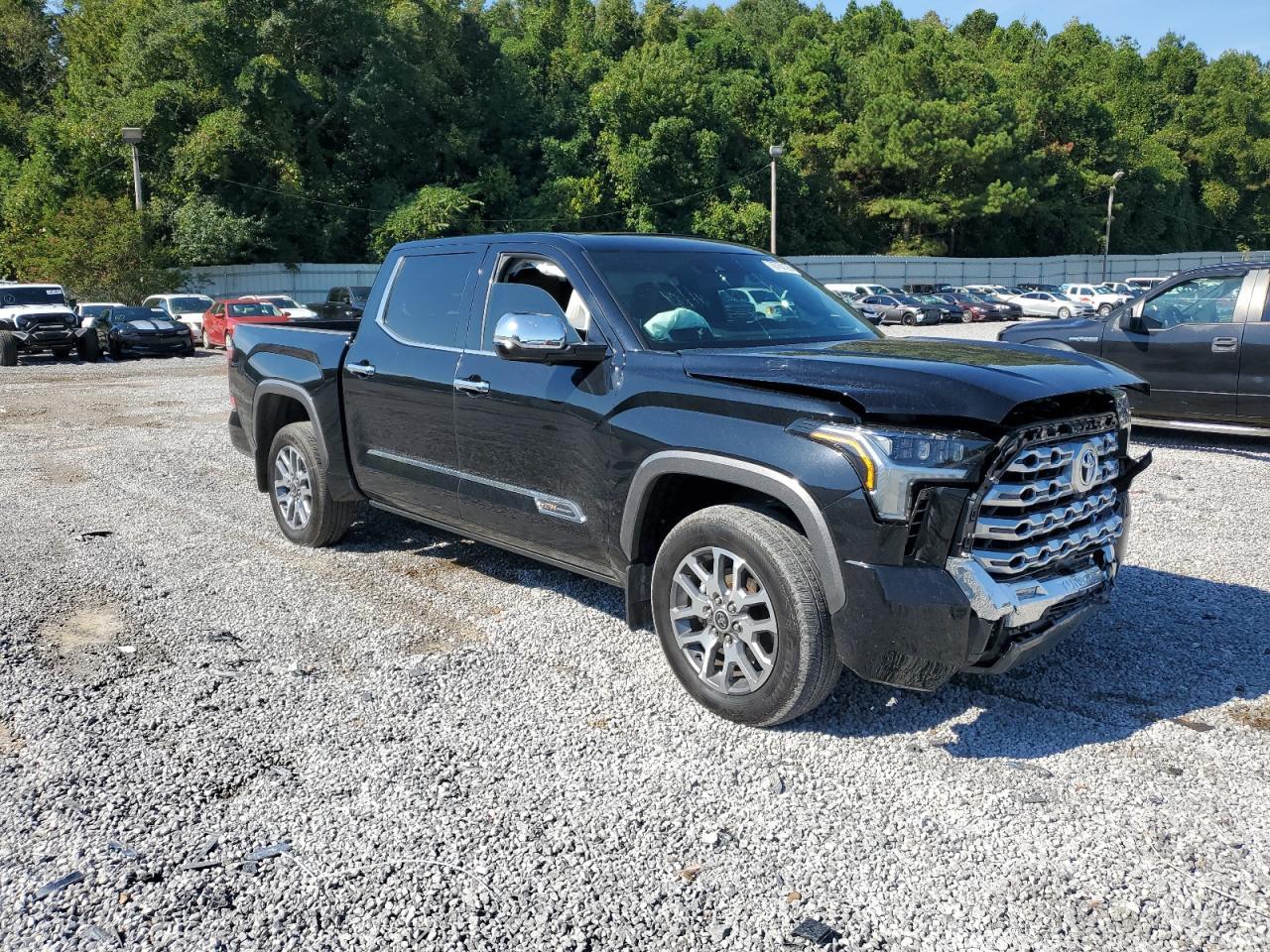 2024 Toyota Tundra Crewmax Platinum - Фото 4