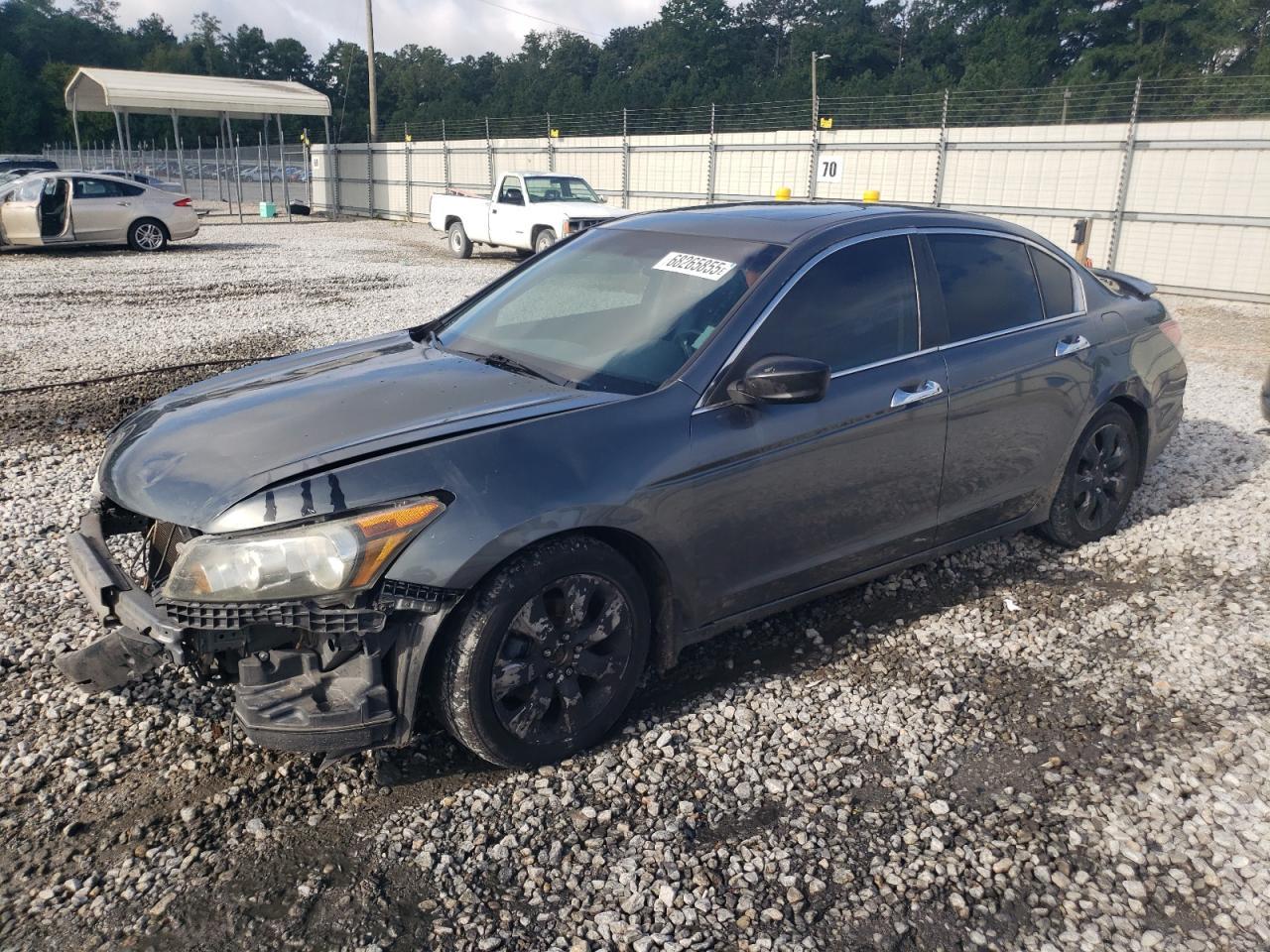2010 Honda Accord Exl