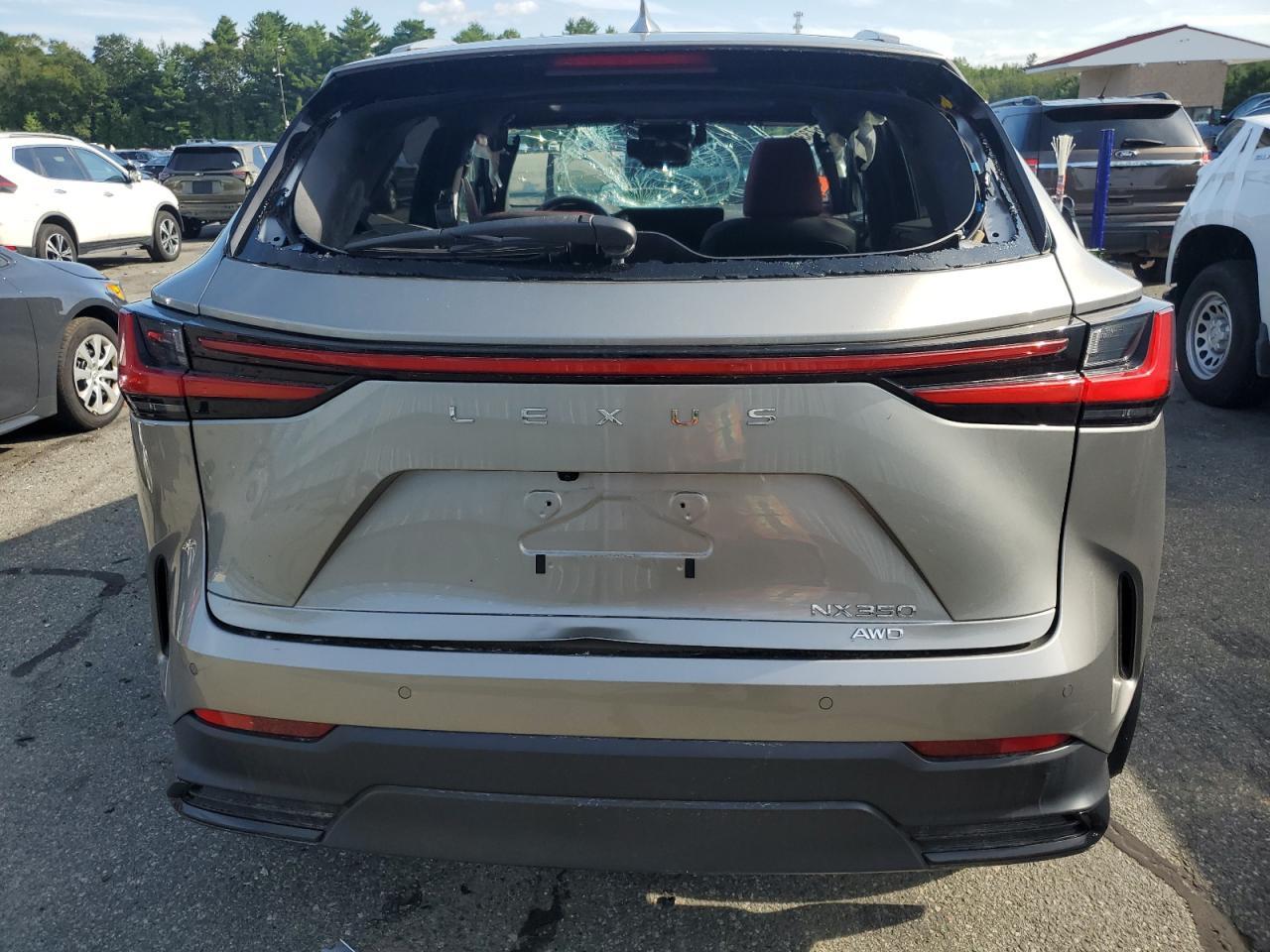 2022 Lexus Nx 350 - Фото 6