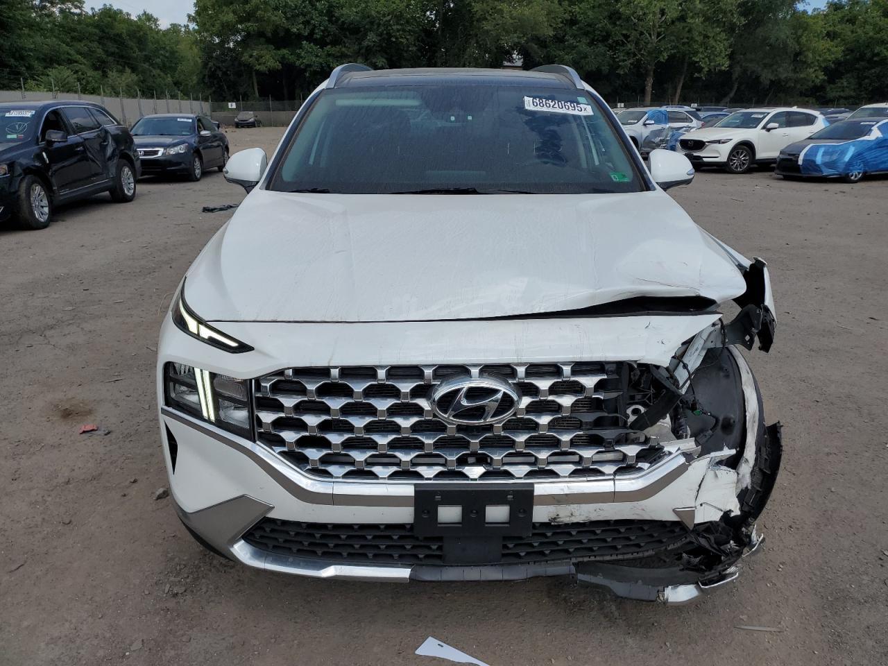 2023 Hyundai Santa Fe Sel Premium - Фото 5