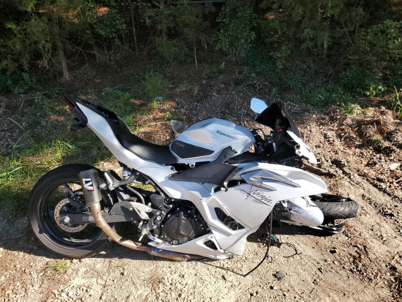 2024 Kawasaki Ex500