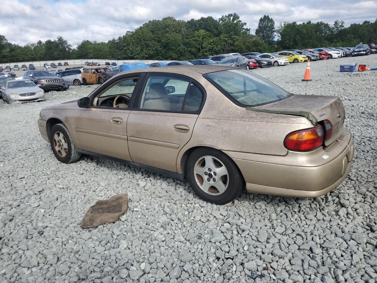 2005 Chevrolet Classic - Фото 2