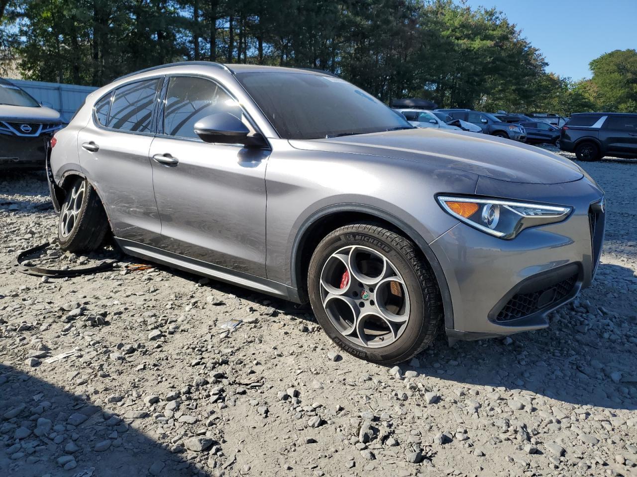2019 Alfa Romeo Stelvio - Фото 4