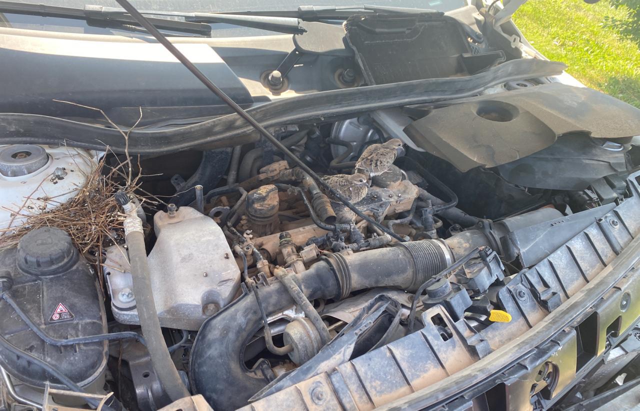 2020 Mercedes-Benz Gla 250 - Фото 7