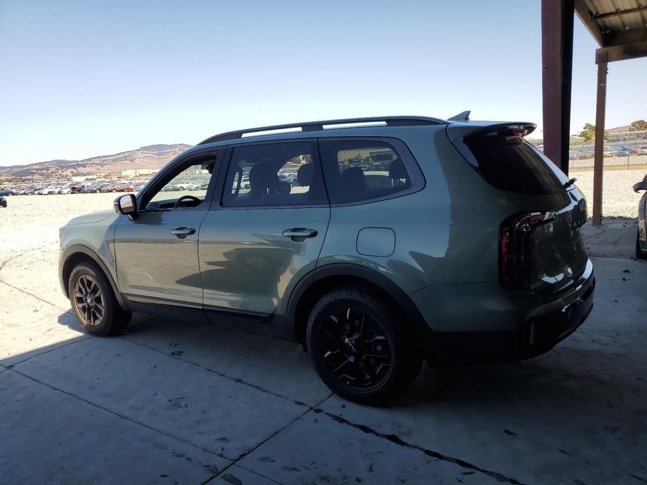 2024 Kia Telluride Sx - Фото 2