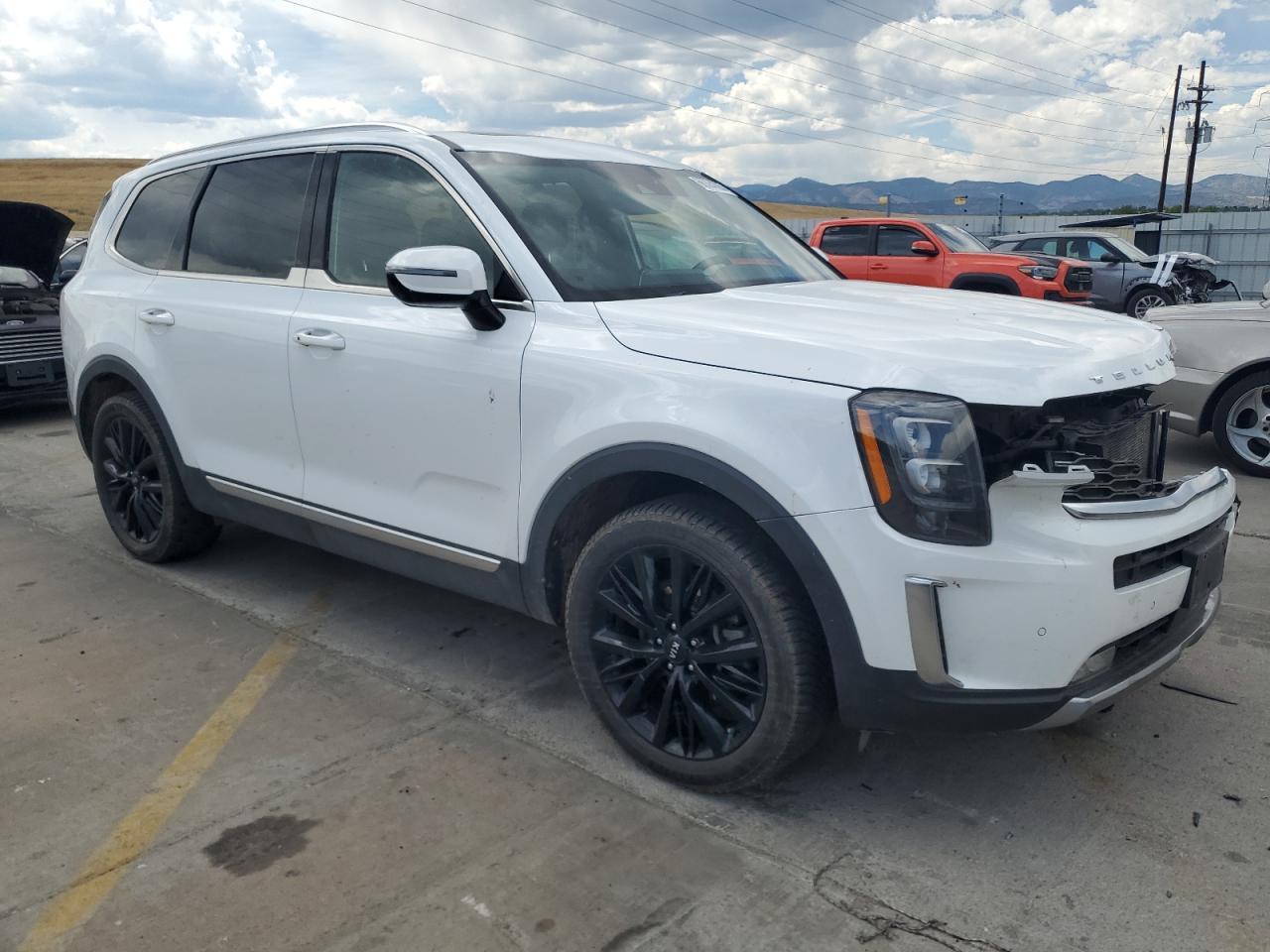 2020 Kia Telluride Sx - Фото 4