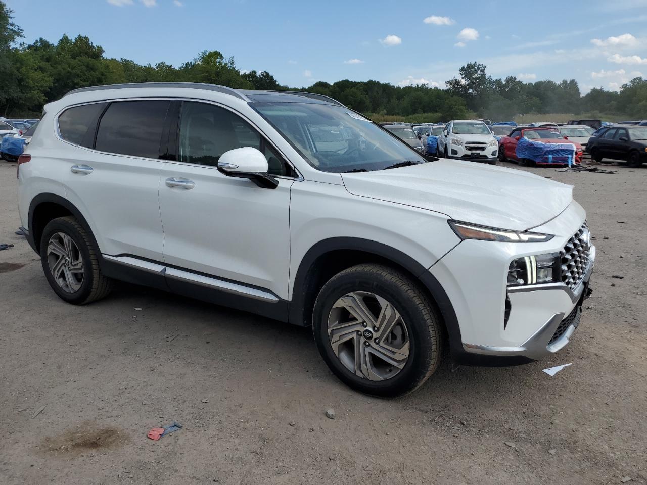 2023 Hyundai Santa Fe Sel Premium - Фото 4