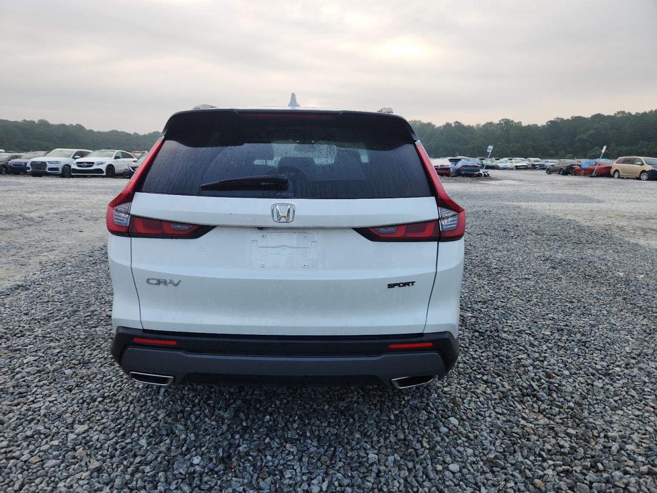 2024 Honda Cr-V Sport - Фото 6