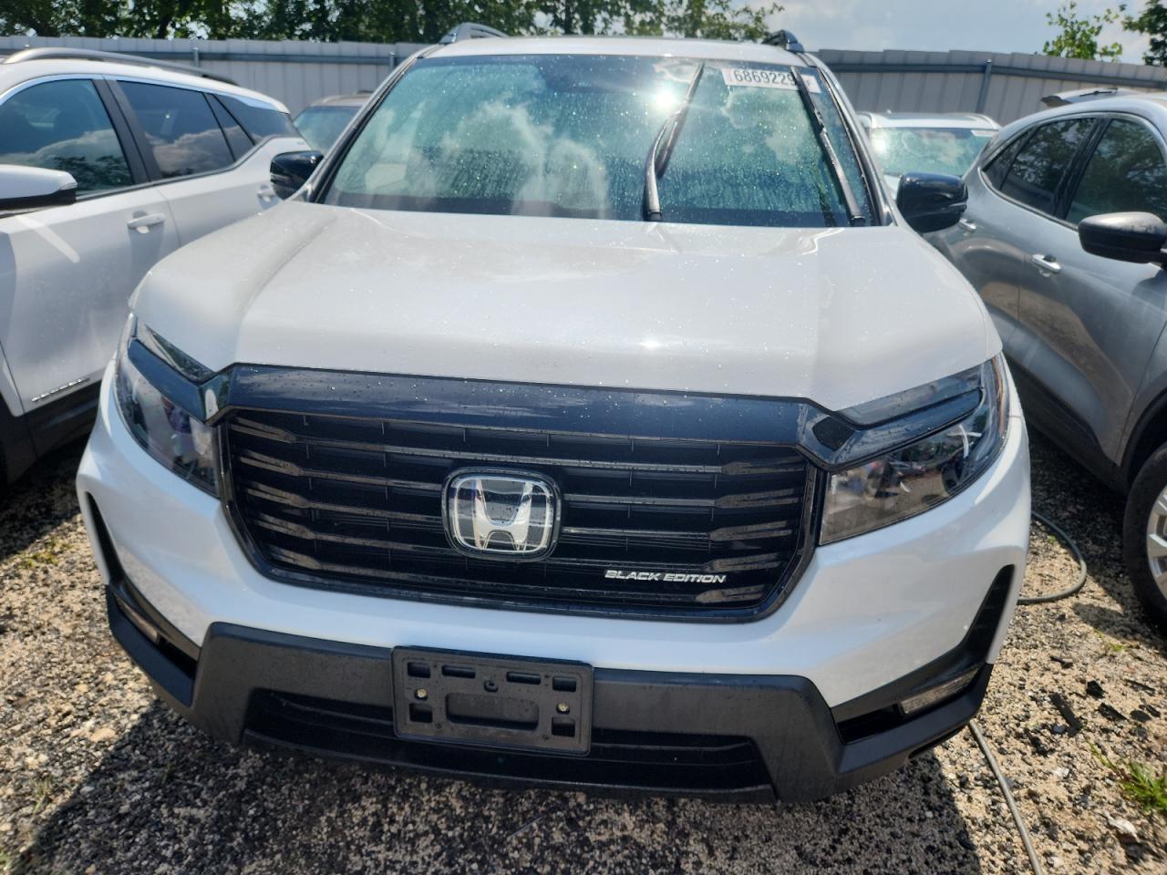 2024 Honda Passport Black Edition - Фото 5