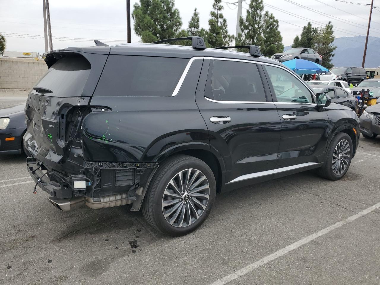 2024 Hyundai Palisade Calligraphy - Фото 3