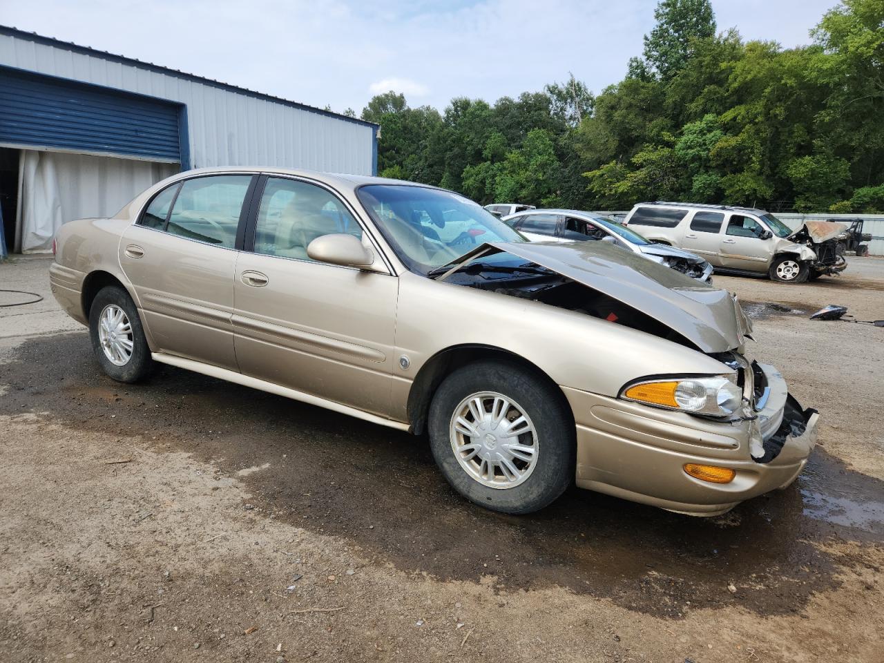 2005 Buick Lesabre Custom - Фото 4