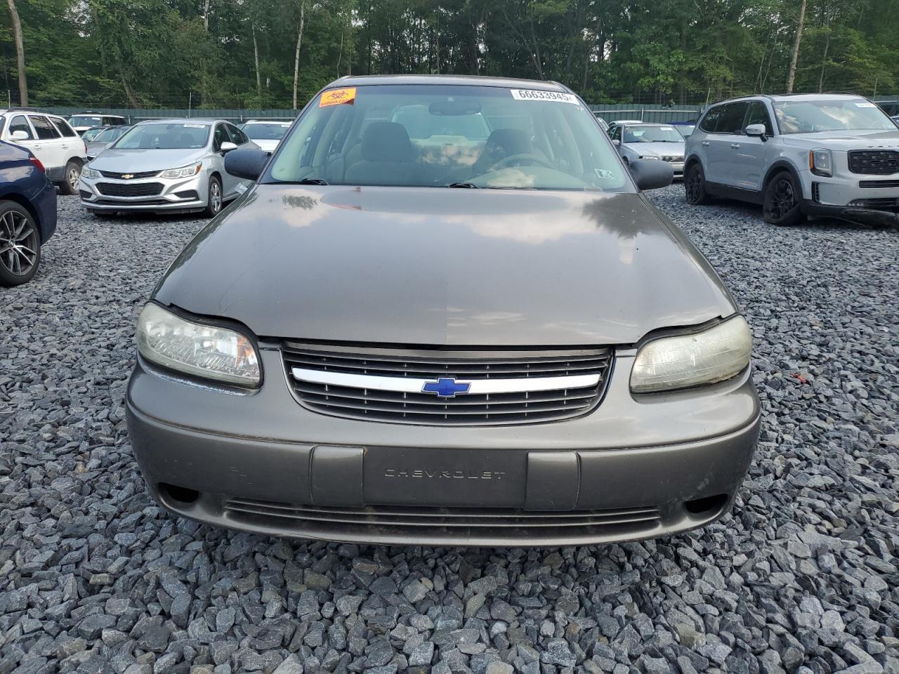 2001 Chevrolet Malibu - Фото 5