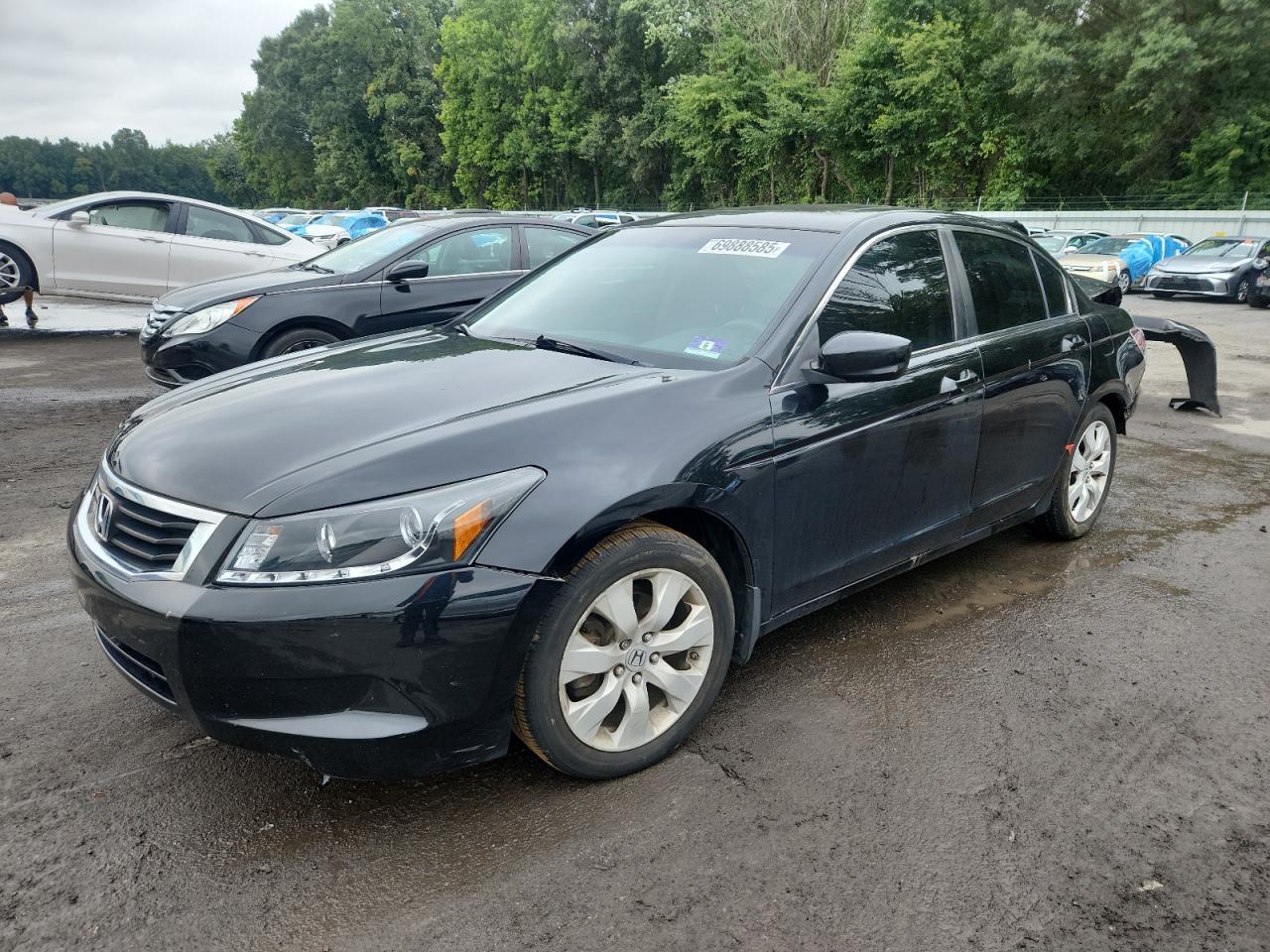 2010 Honda Accord Ex