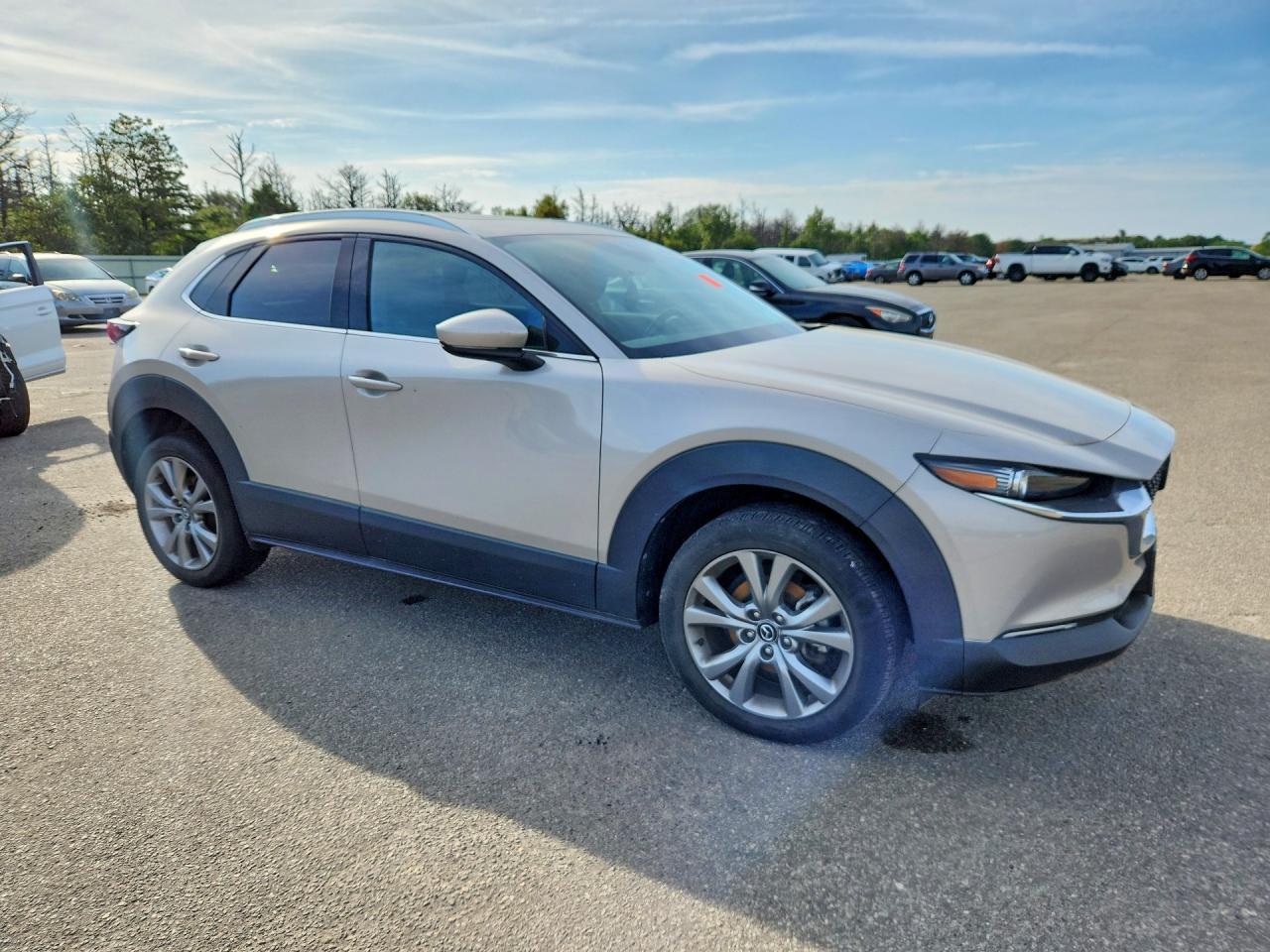 2023 Mazda Cx-30 Premium - Фото 4