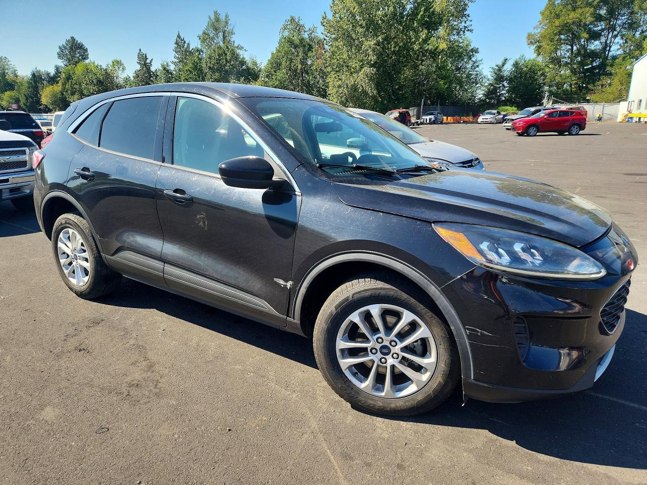 2020 Ford Escape Se - Фото 4