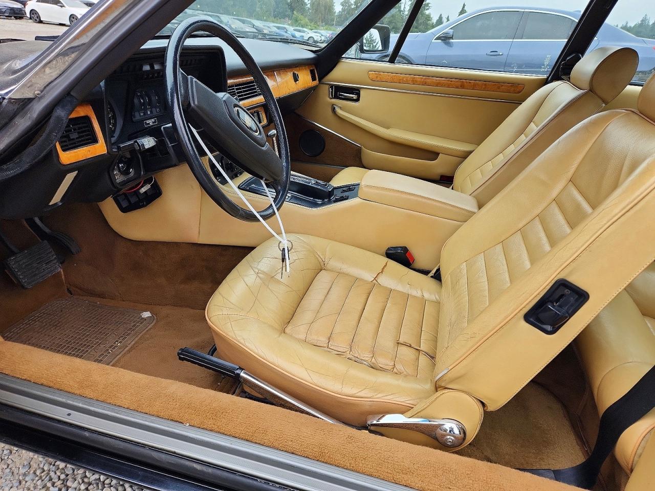 1983 Jaguar Xjs - Image 7