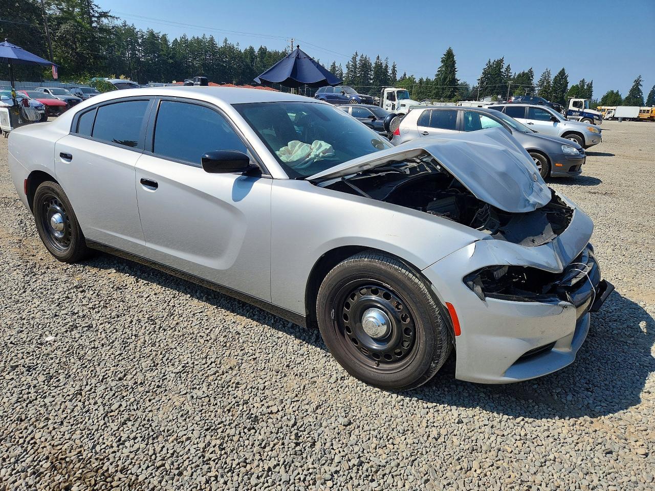 2020 Dodge Charger Police - Фото 4
