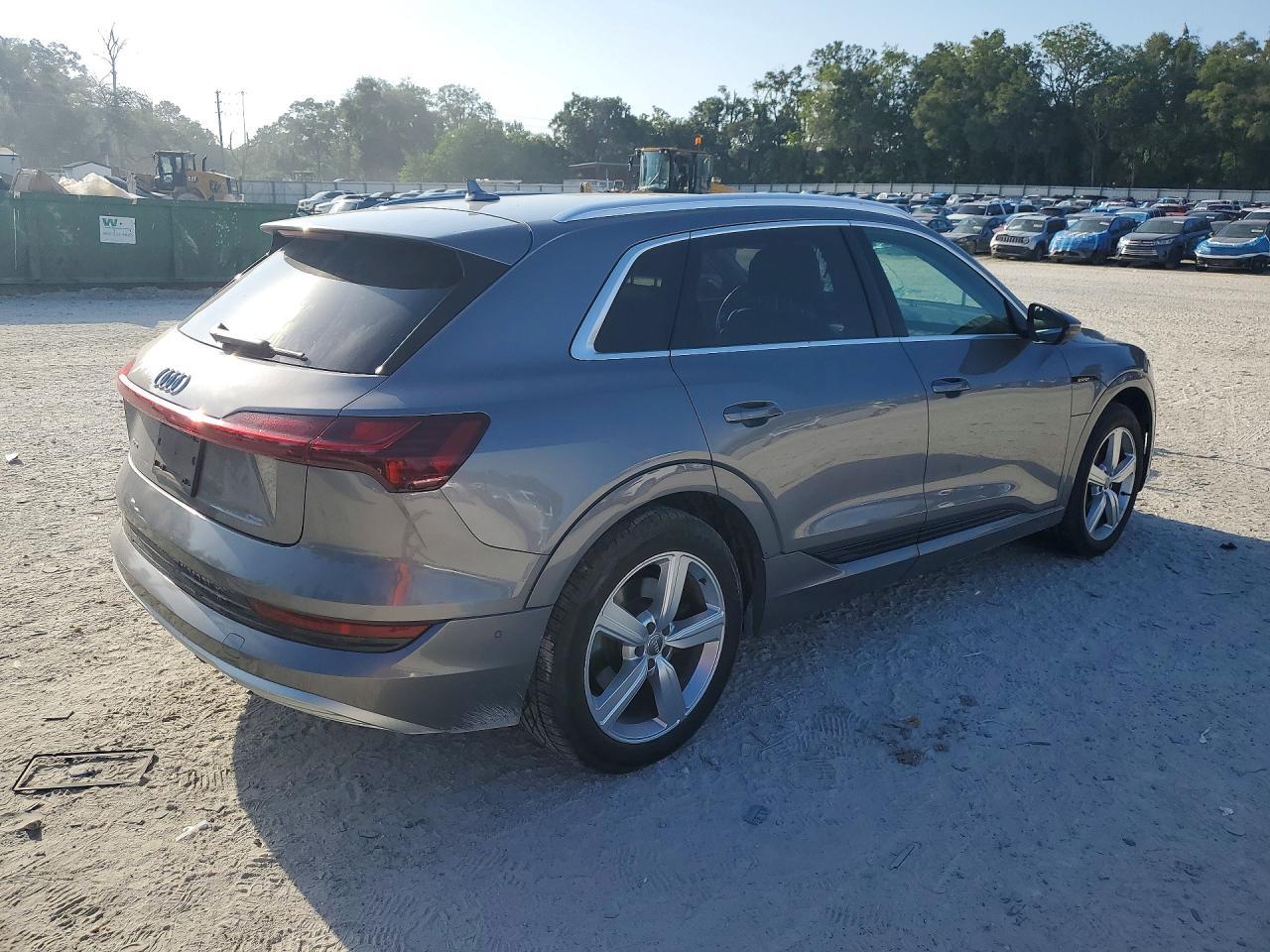 2019 Audi E-Tron Premium Plus - Фото 3