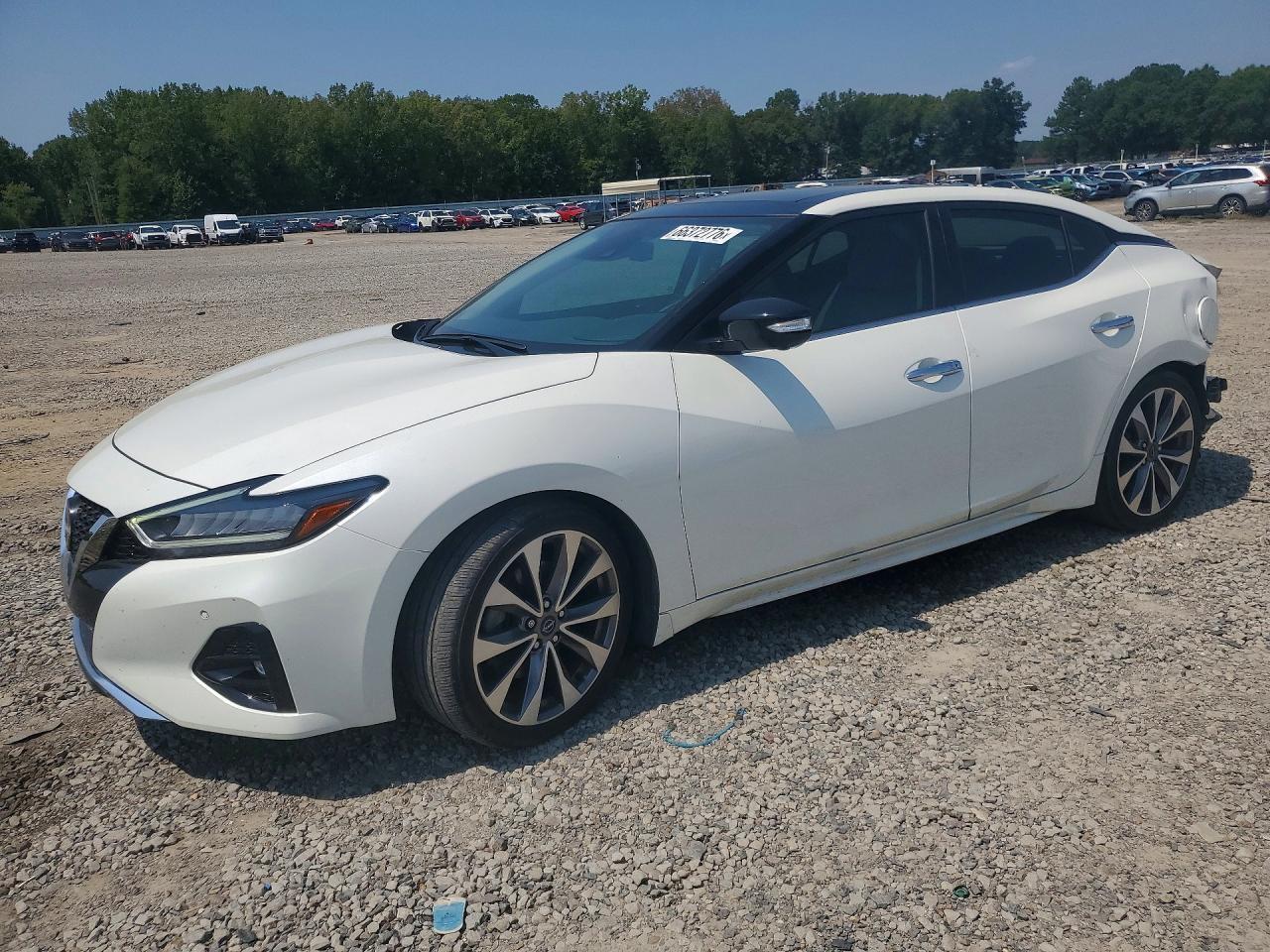 2023 Nissan Maxima Platinum