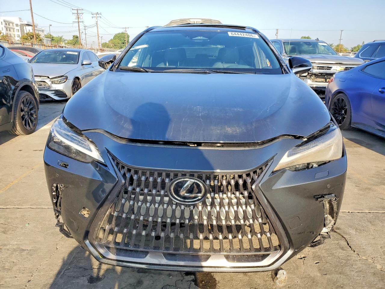 2025 Lexus Nx 350 F Sport Handling - Фото 5