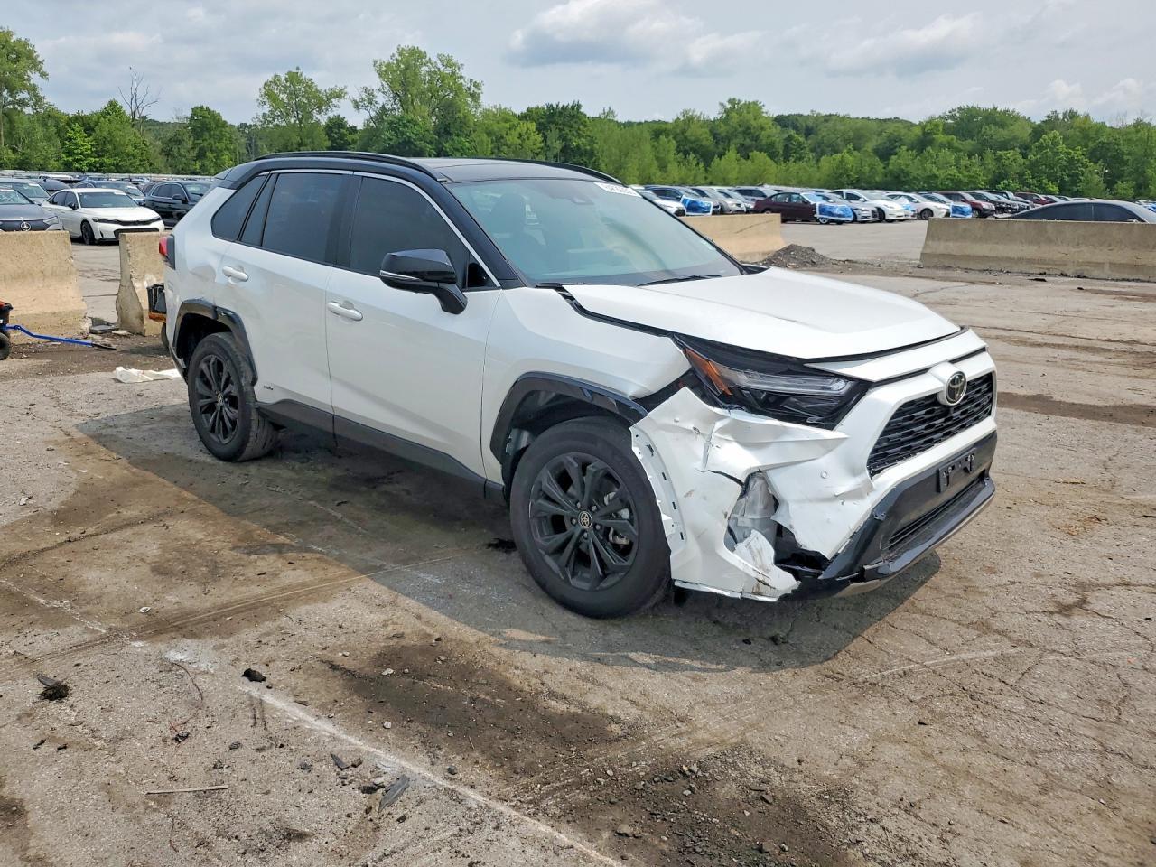 2025 Toyota Rav4 Xse - Image 4