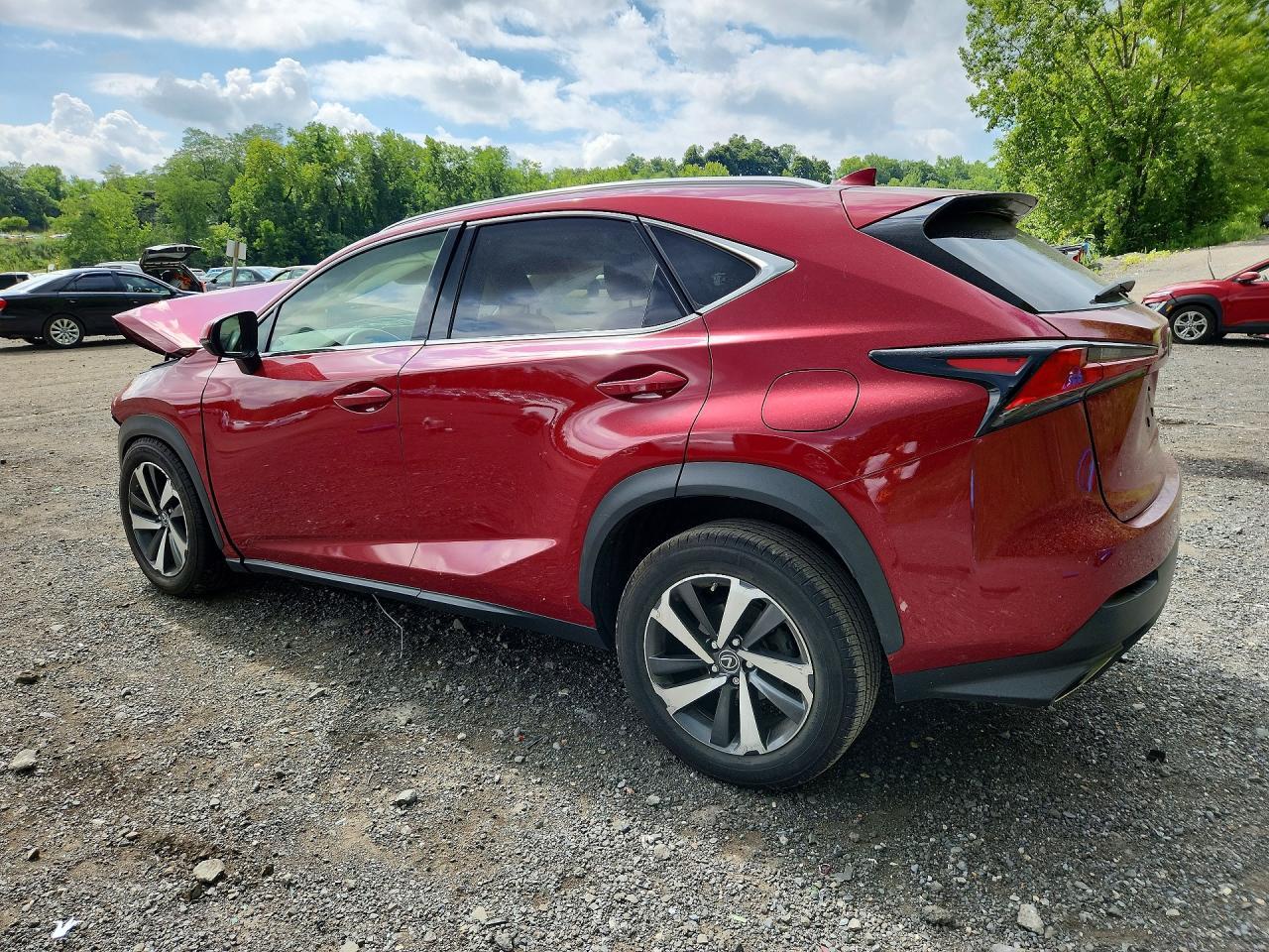 2018 Lexus Nx 300 Base - Фото 2