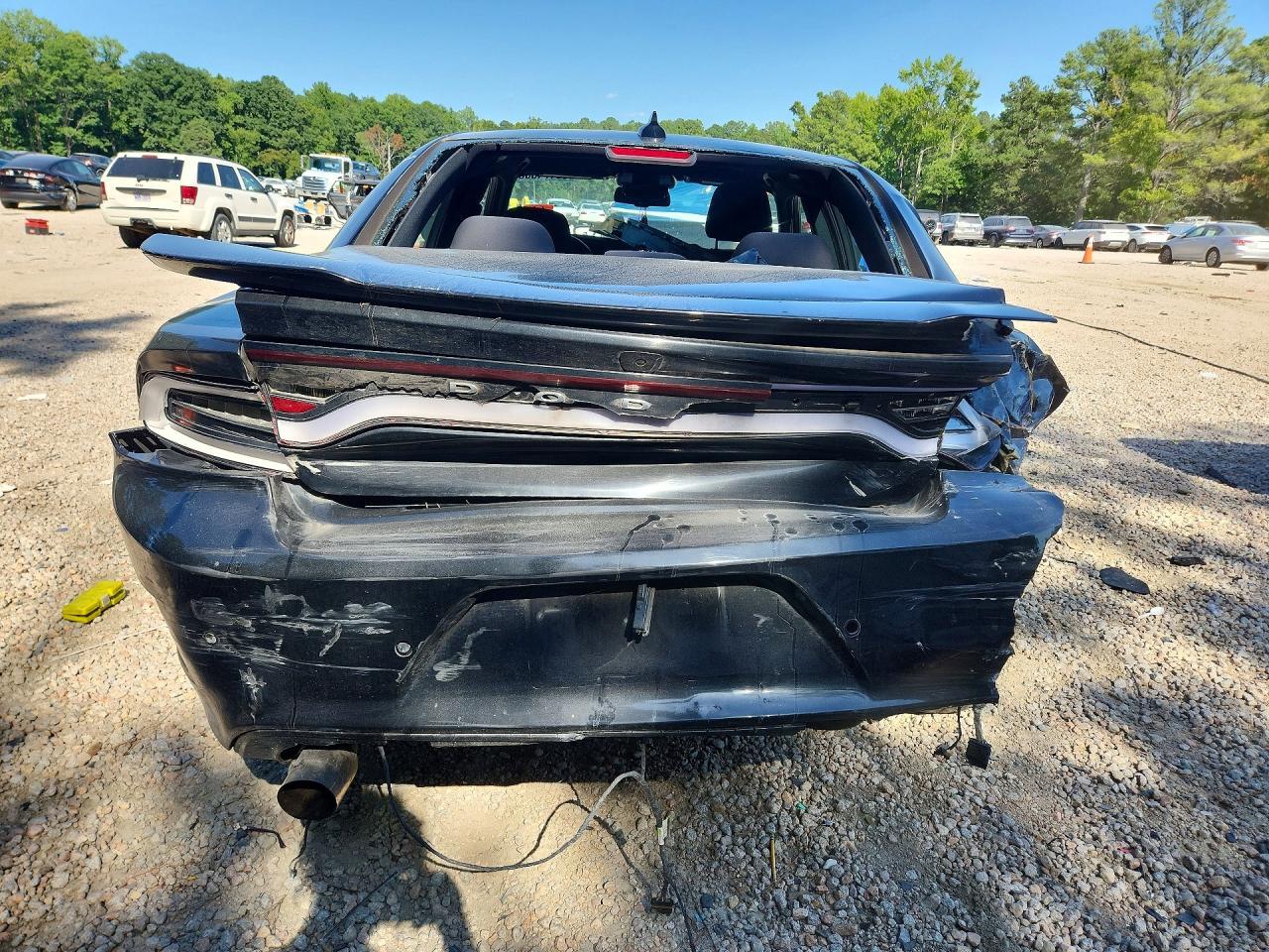 2019 Dodge Charger Gt - Фото 6