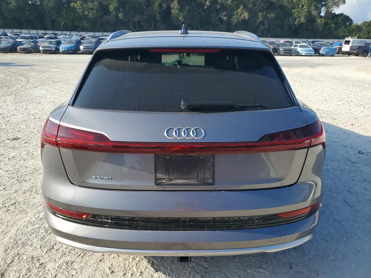 2019 Audi E-Tron Premium Plus - Фото 6