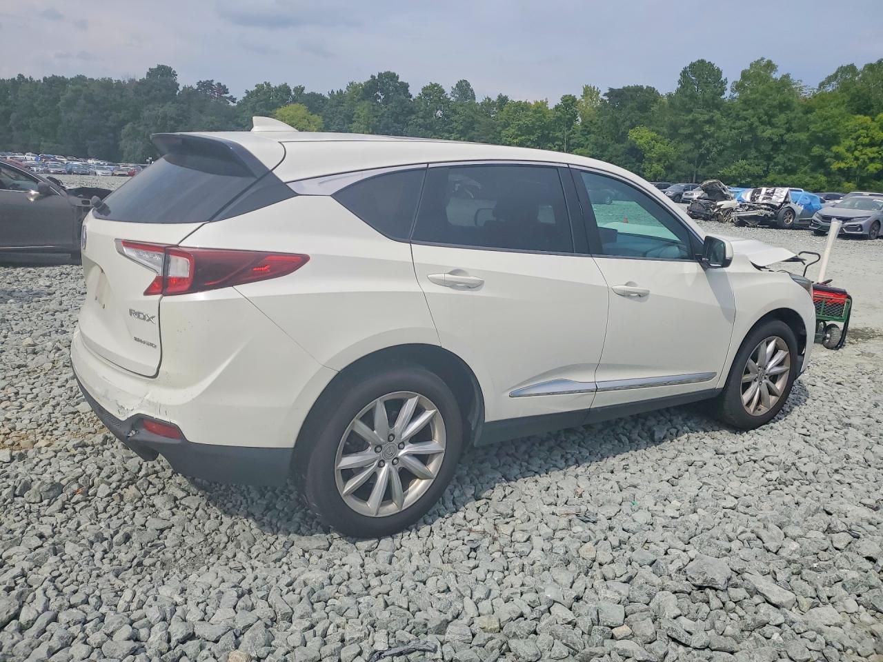 2019 Acura Rdx - Image 3