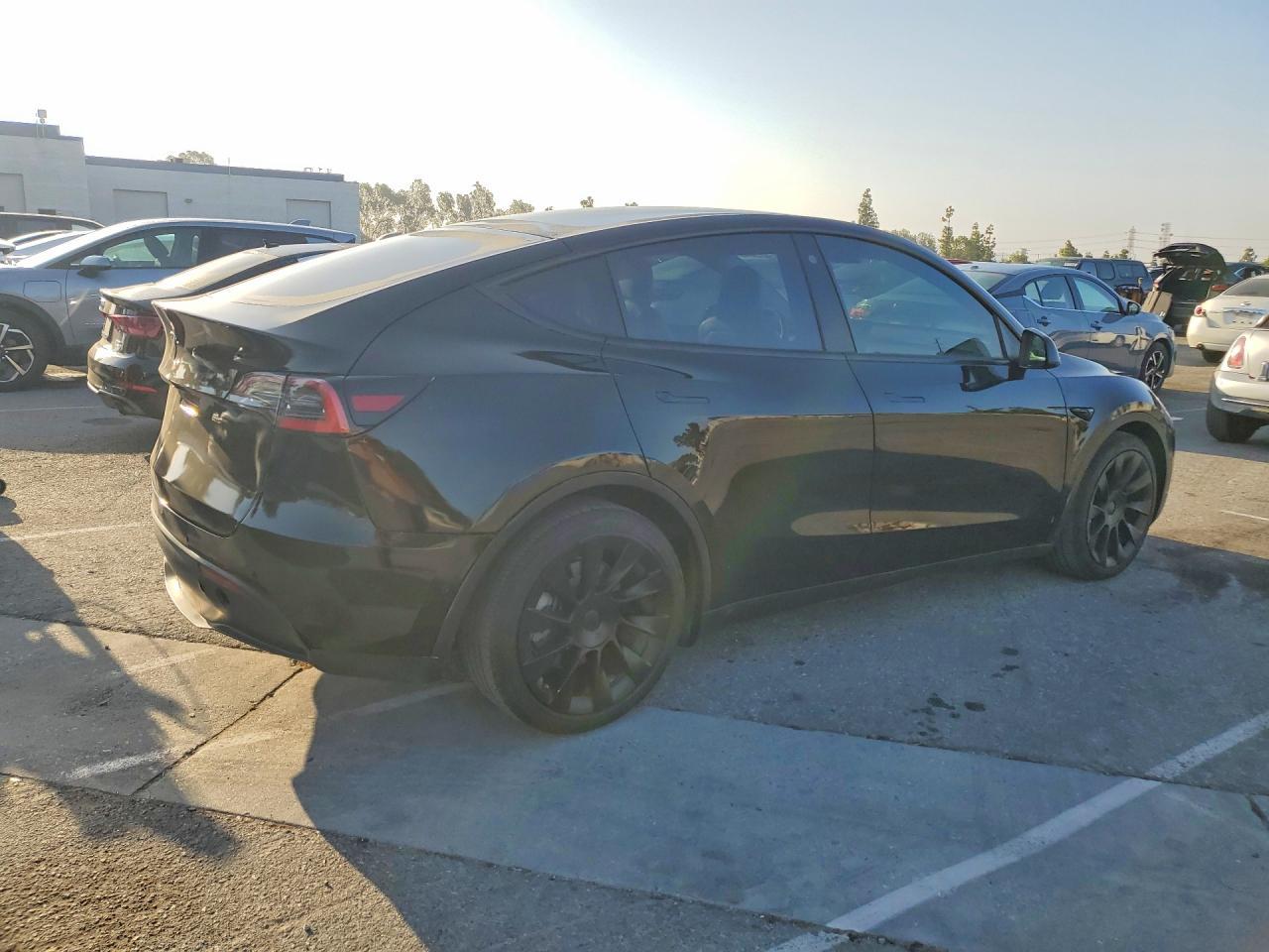 2021 Tesla Model Y - Фото 3