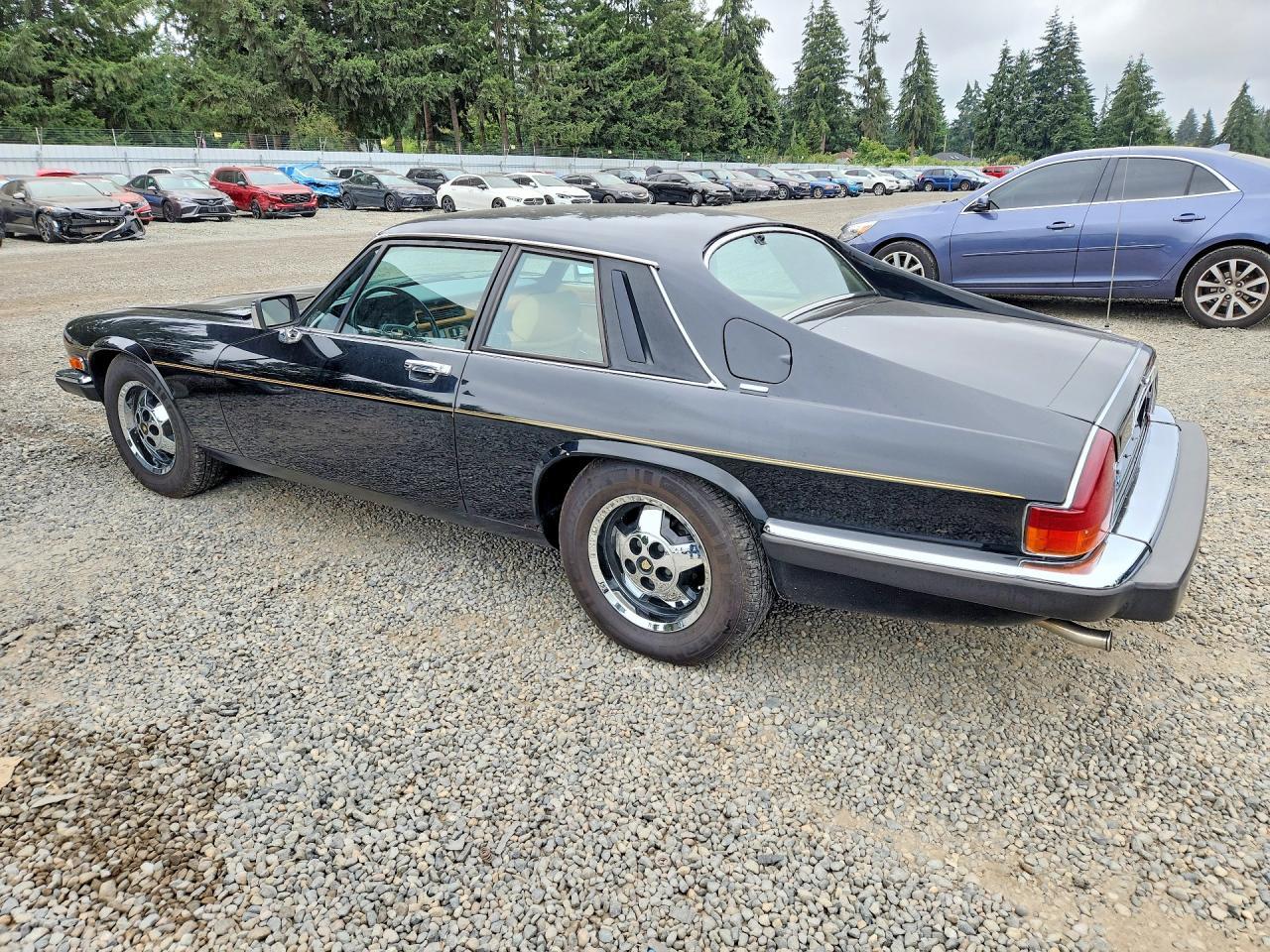 1983 Jaguar Xjs - Image 2