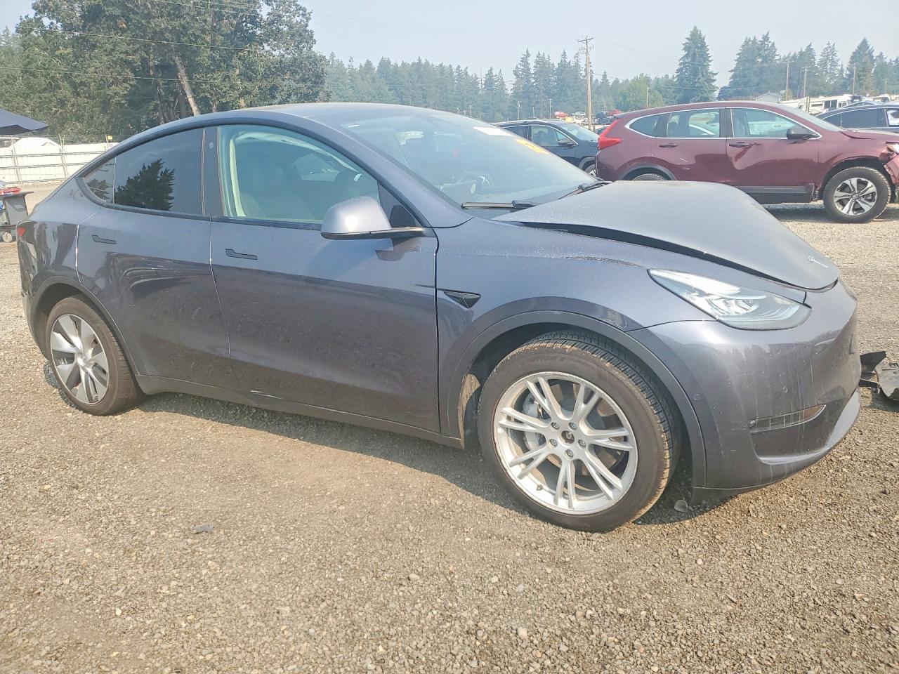 2023 Tesla Model Y - Фото 4