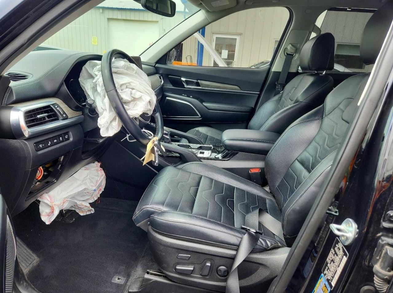 2022 Kia Telluride Sx - Фото 7