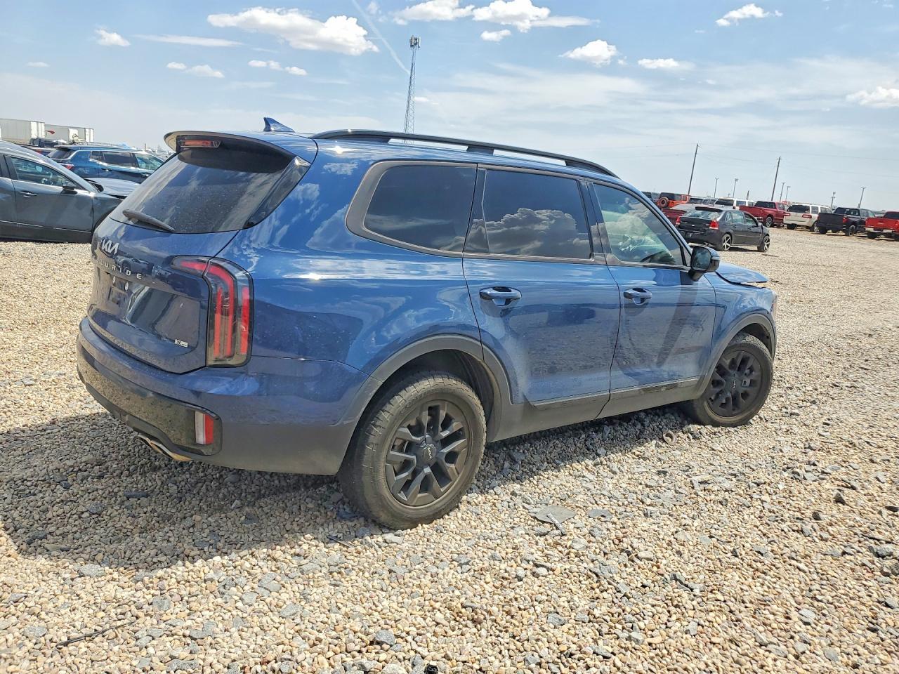 2024 Kia Telluride Sx-Prestige X-Pro - Фото 3