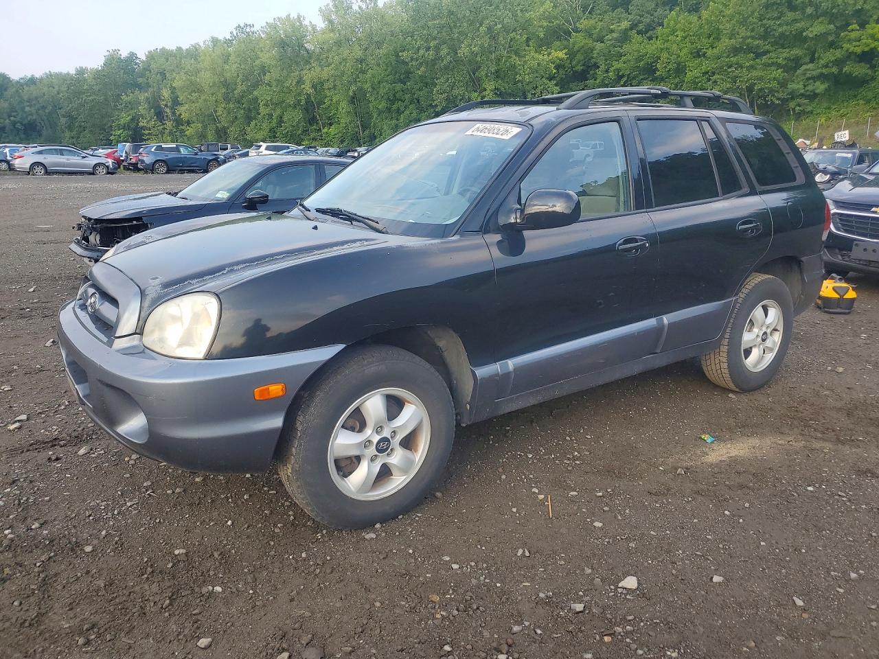 2005 Hyundai Santa Fe Gls