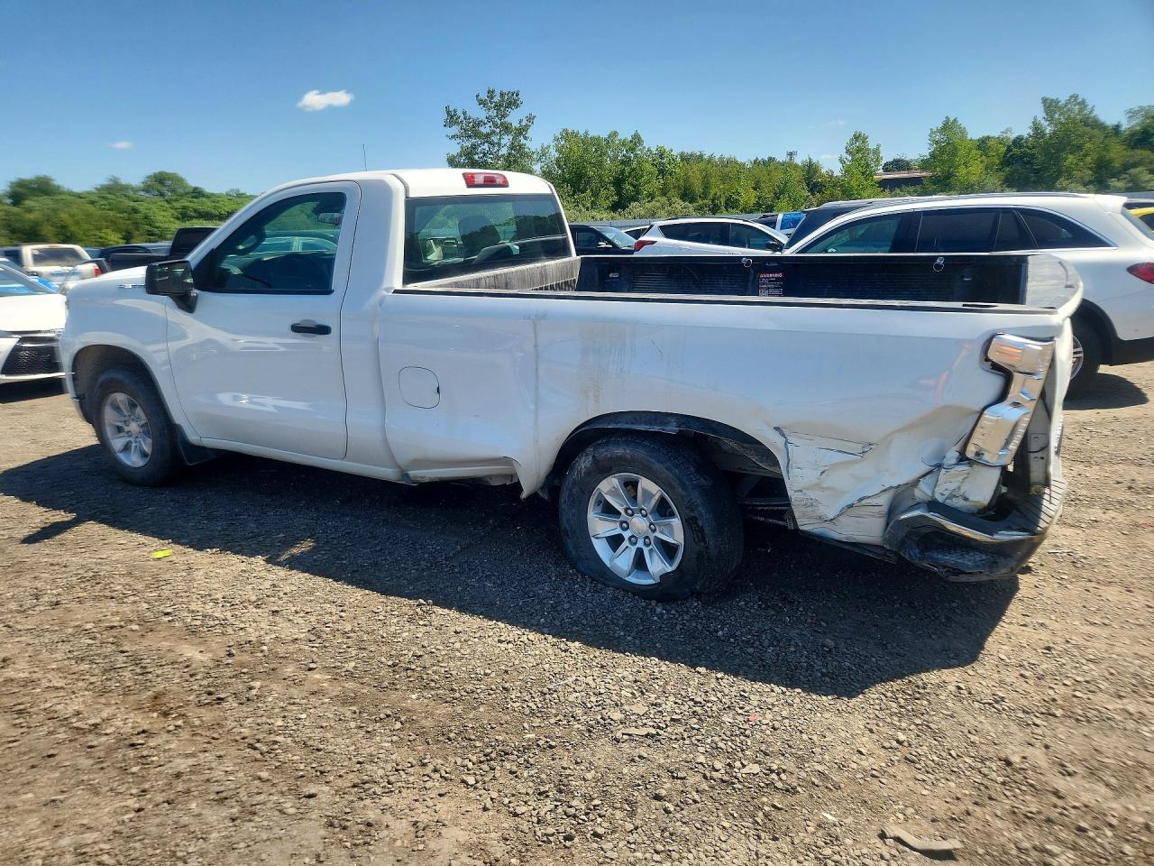 2023 Chevrolet Silverado C1500 - Фото 2