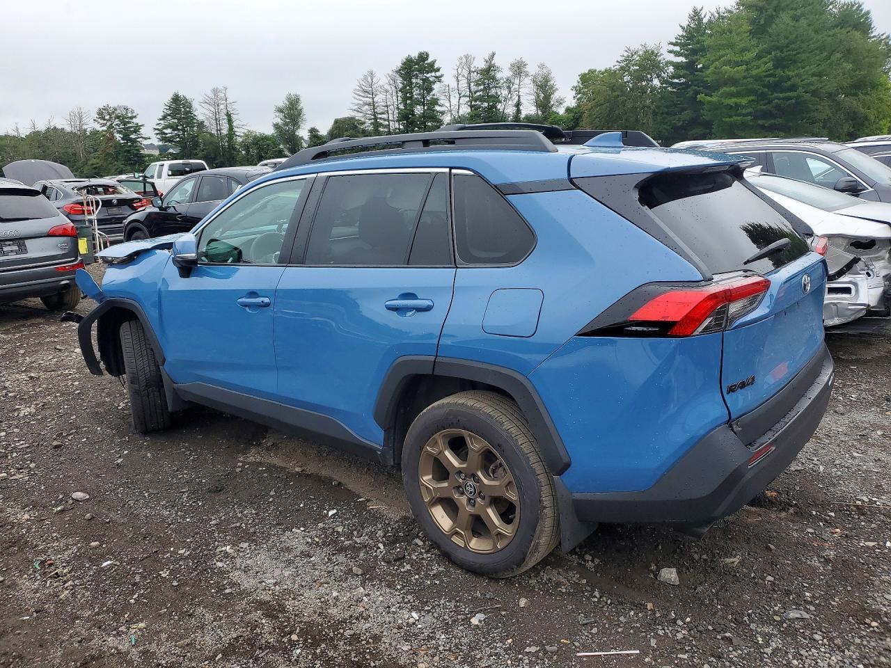 2023 Toyota Rav4 Woodland Edition - Фото 2