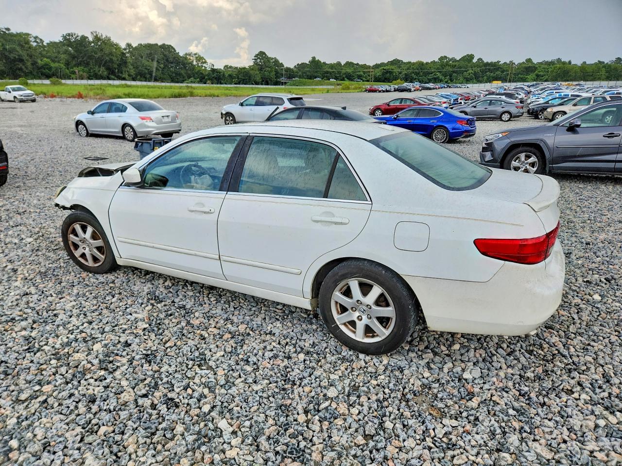2005 Honda Accord Ex - Фото 2