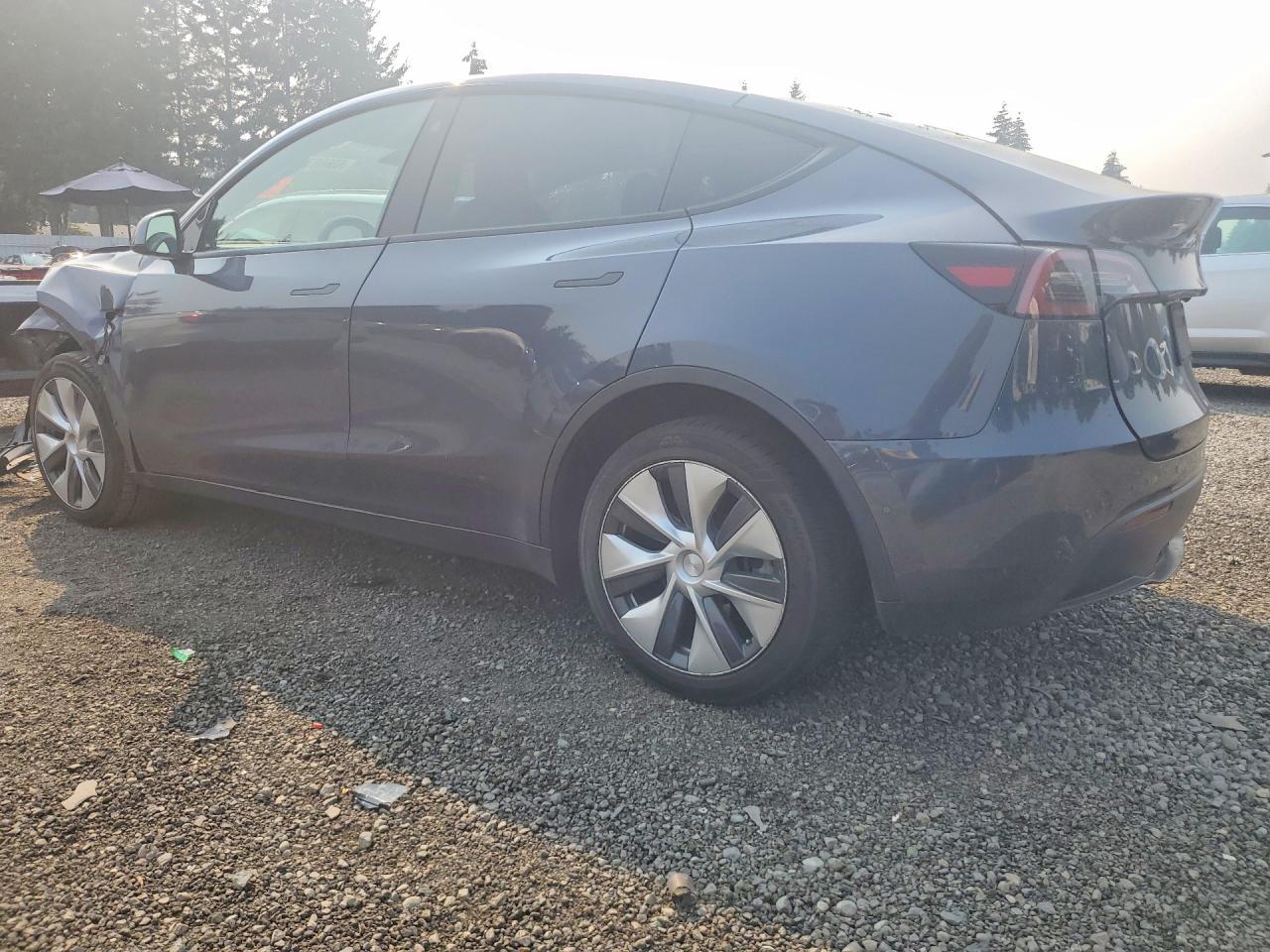 2023 Tesla Model Y - Фото 2