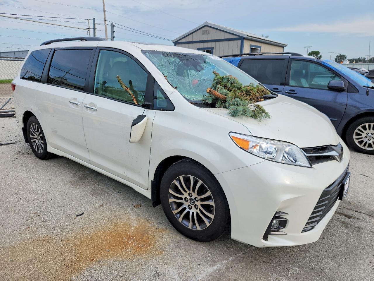 2020 Toyota Sienna Xle 8-Passenger - Фото 4