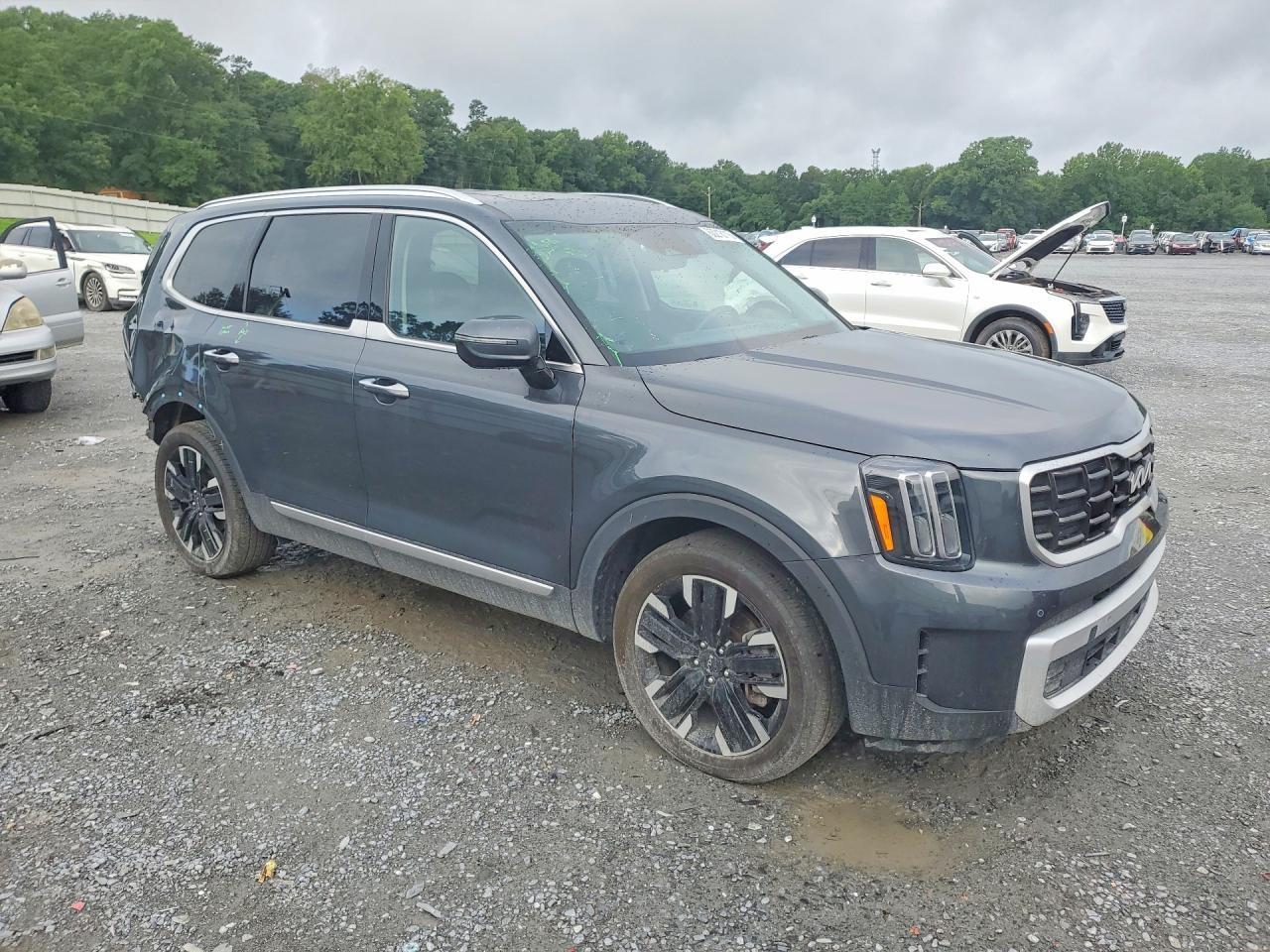 2024 Kia Telluride Sx-Prestige - Image 4